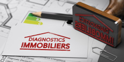Diagnostiqueur immobilier en Seine-et-Marne